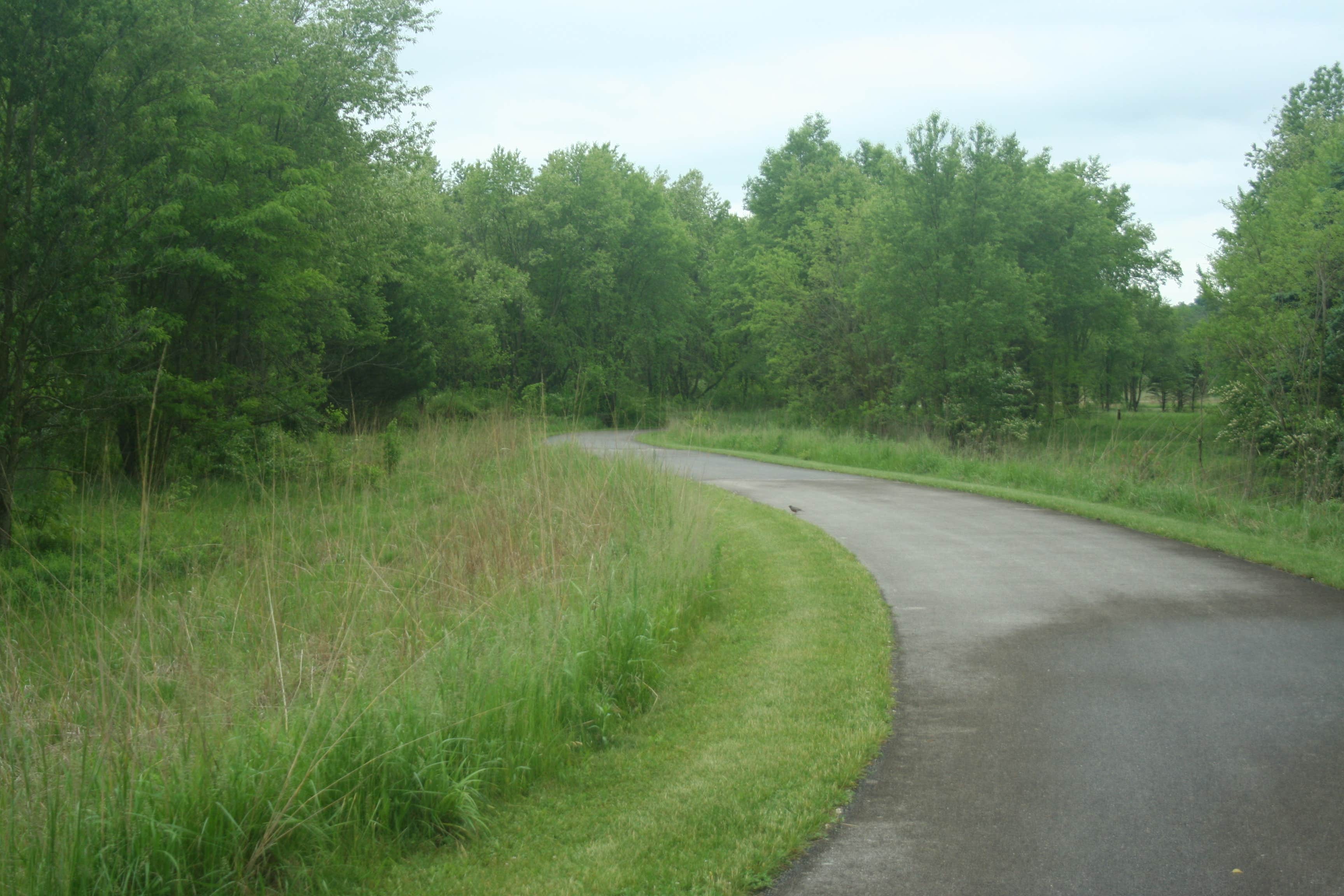 Prophetstown State Park Campground