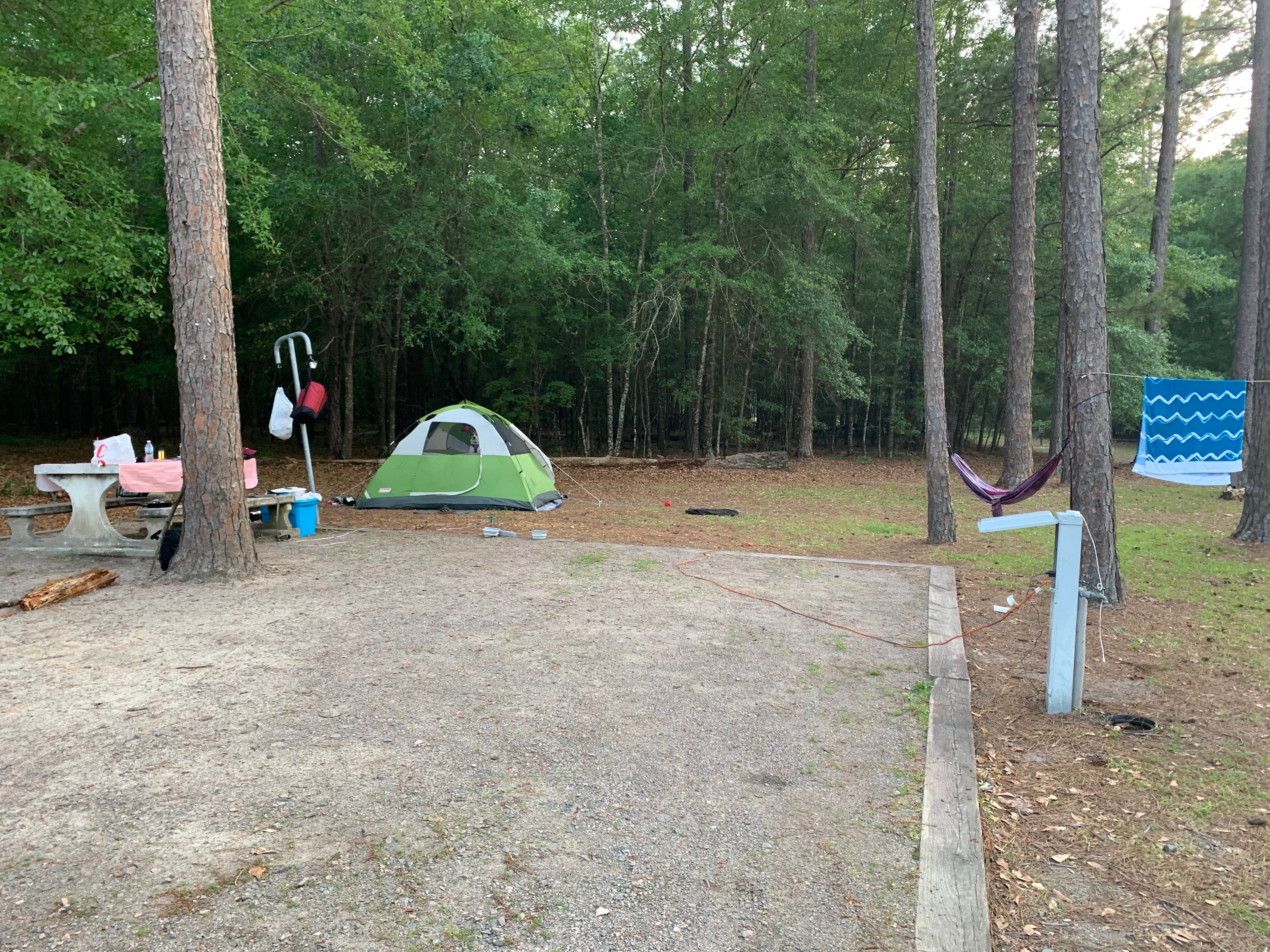 Kait G.'s photo at Magnolia Springs State Park Campground near Statesboro, GA