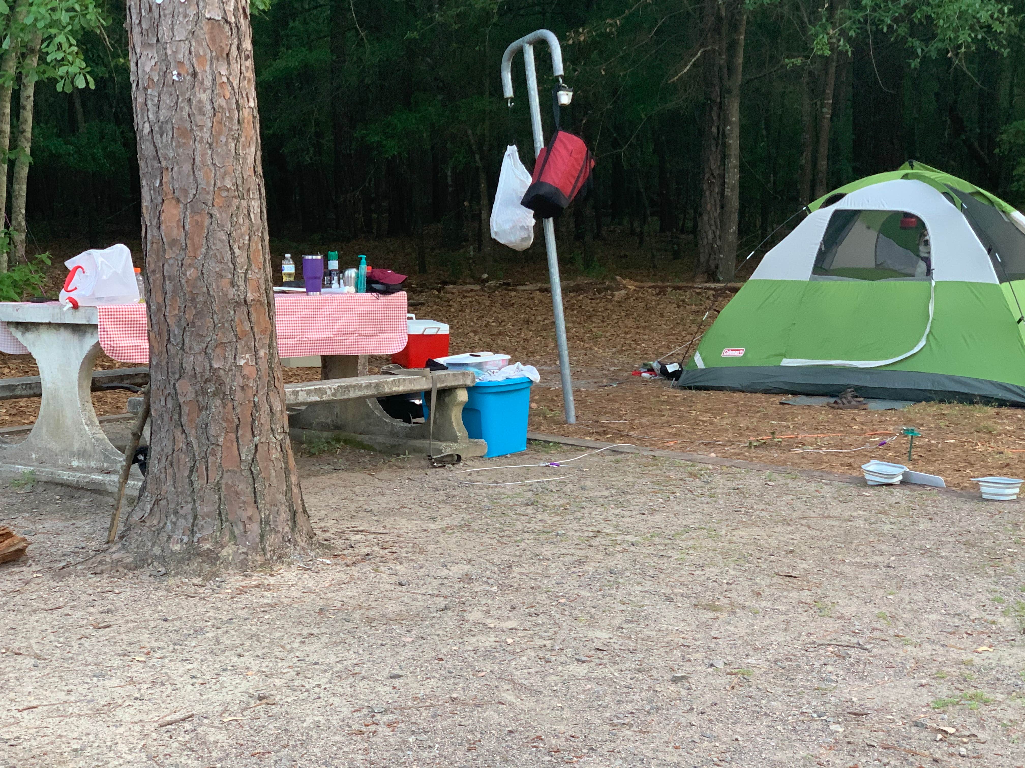 Kait G.'s photo at Magnolia Springs State Park Campground near Statesboro, GA