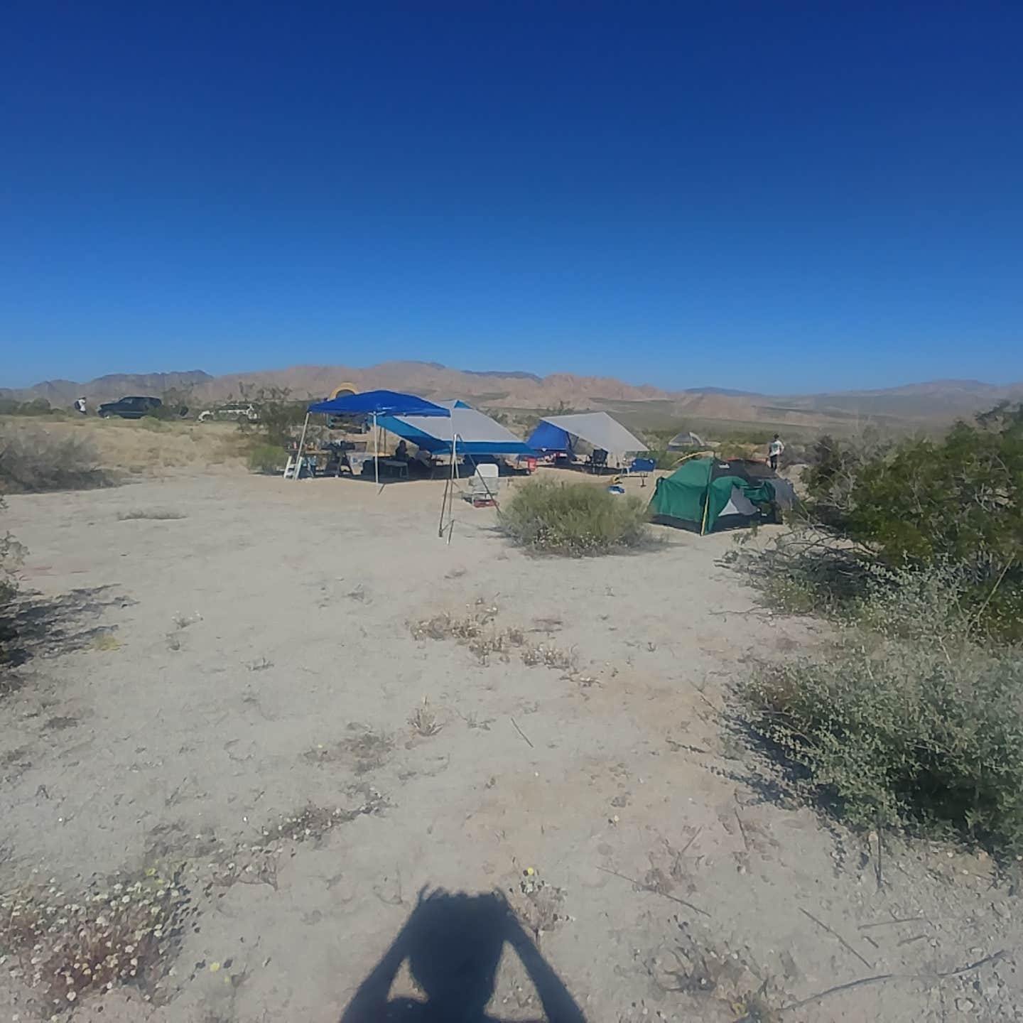 Eric F.'s photo at Sheephole Valley Wilderness near Amboy, CA