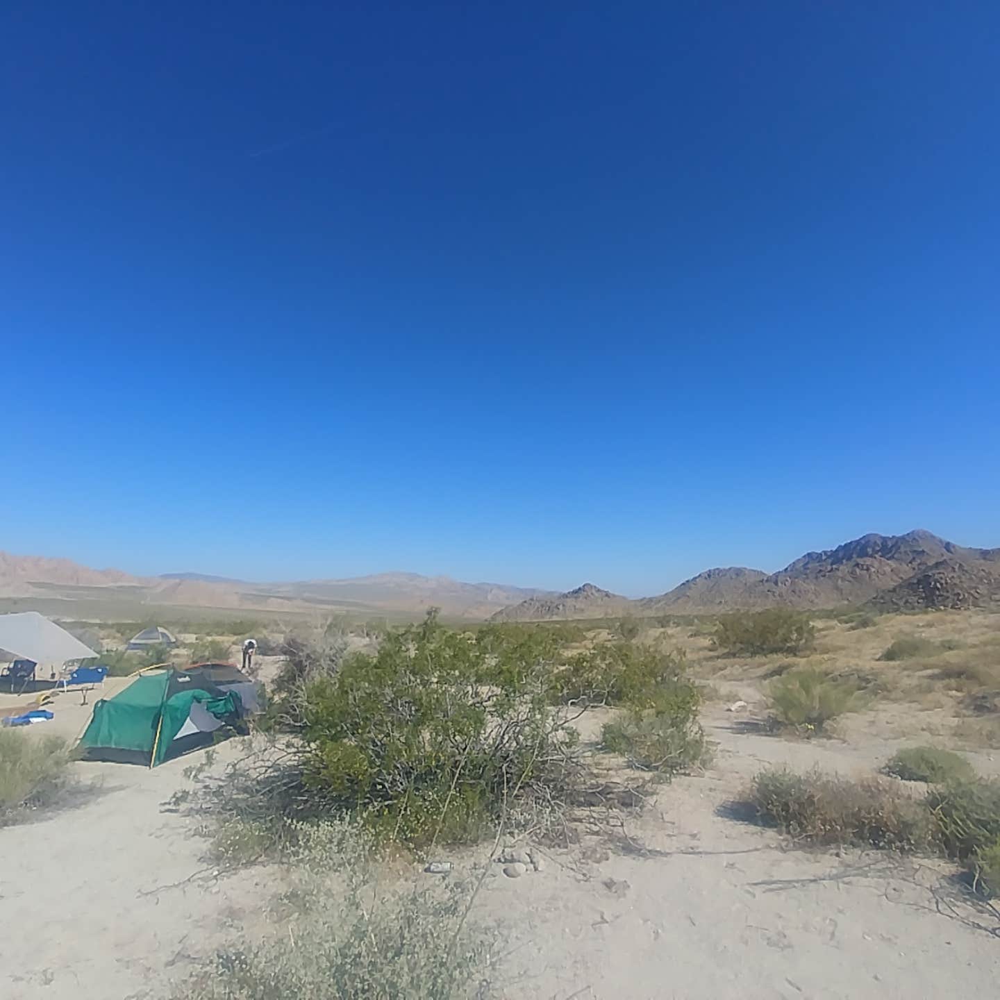 Eric F.'s photo at Sheephole Valley Wilderness near Amboy, CA