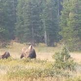 Review photo of Deep Creek Campground by Emma G., September 19, 2017