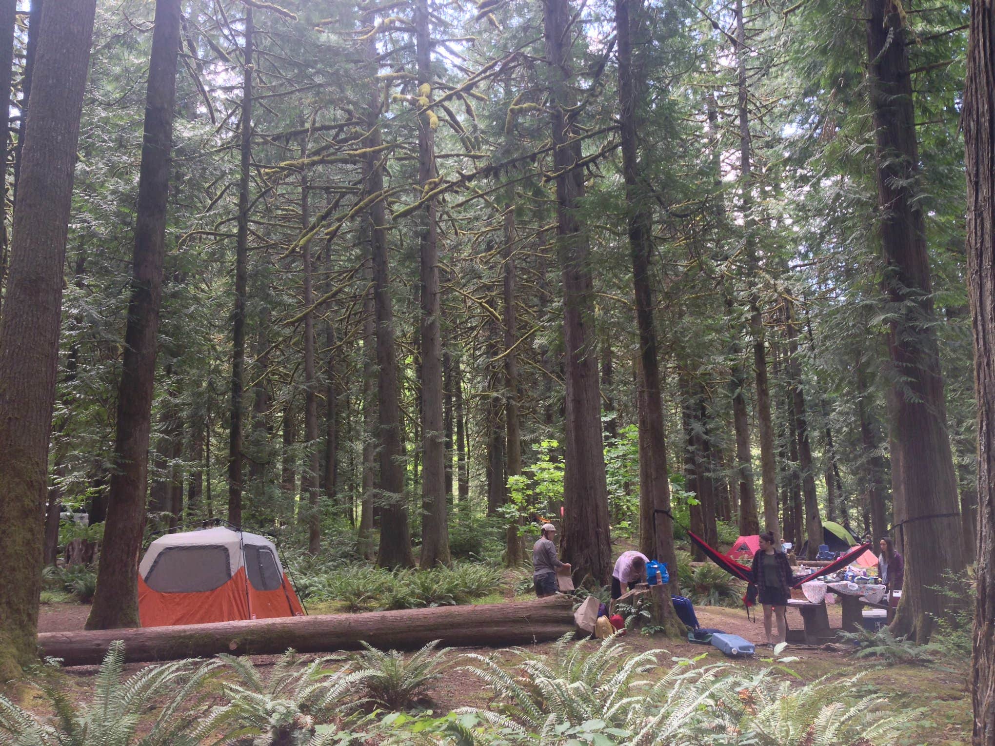 Ashley L.'s photo at Lockaby near Estacada, OR