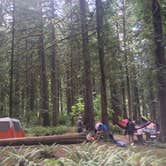 Review photo of Mount Hood National Forest Lockaby Campground - TEMP CLOSED DUE TO FIRE DAMAGE by Ashley L., May 4, 2020