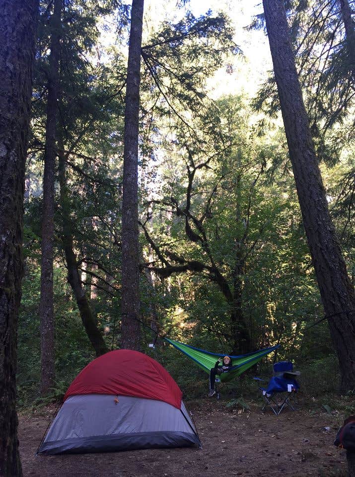 Ashley L.'s photo of tent camping at Rainbow (OR) - TEMP CLOSED near Canby, OR