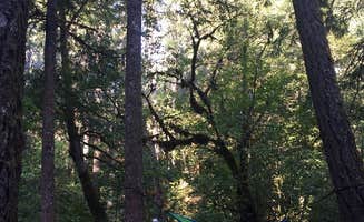 Ashley L.'s photo of tent camping at Rainbow (OR) - TEMP CLOSED near Mehama, OR