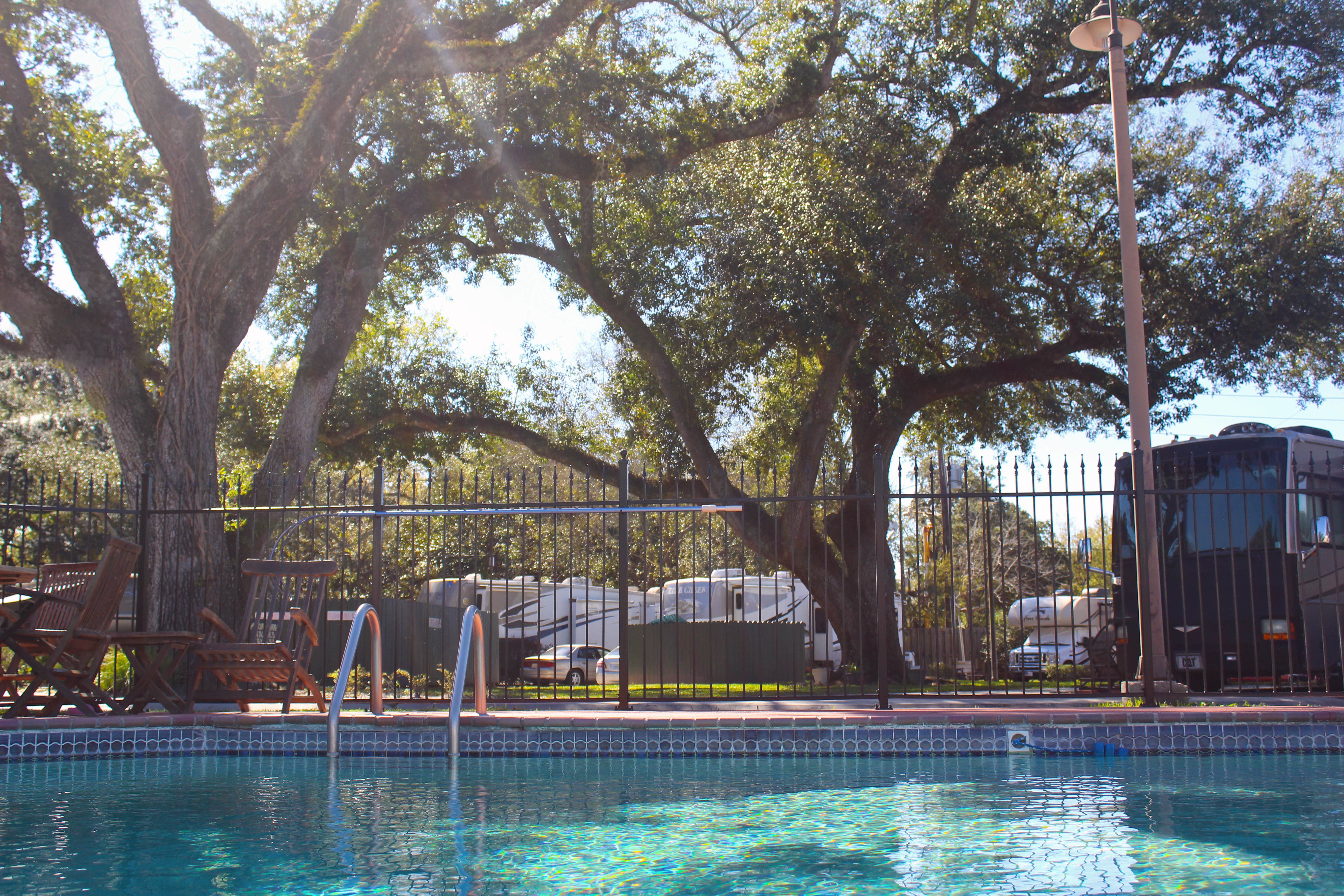 Camper submitted image from Majestic Oaks RV Resort - 2