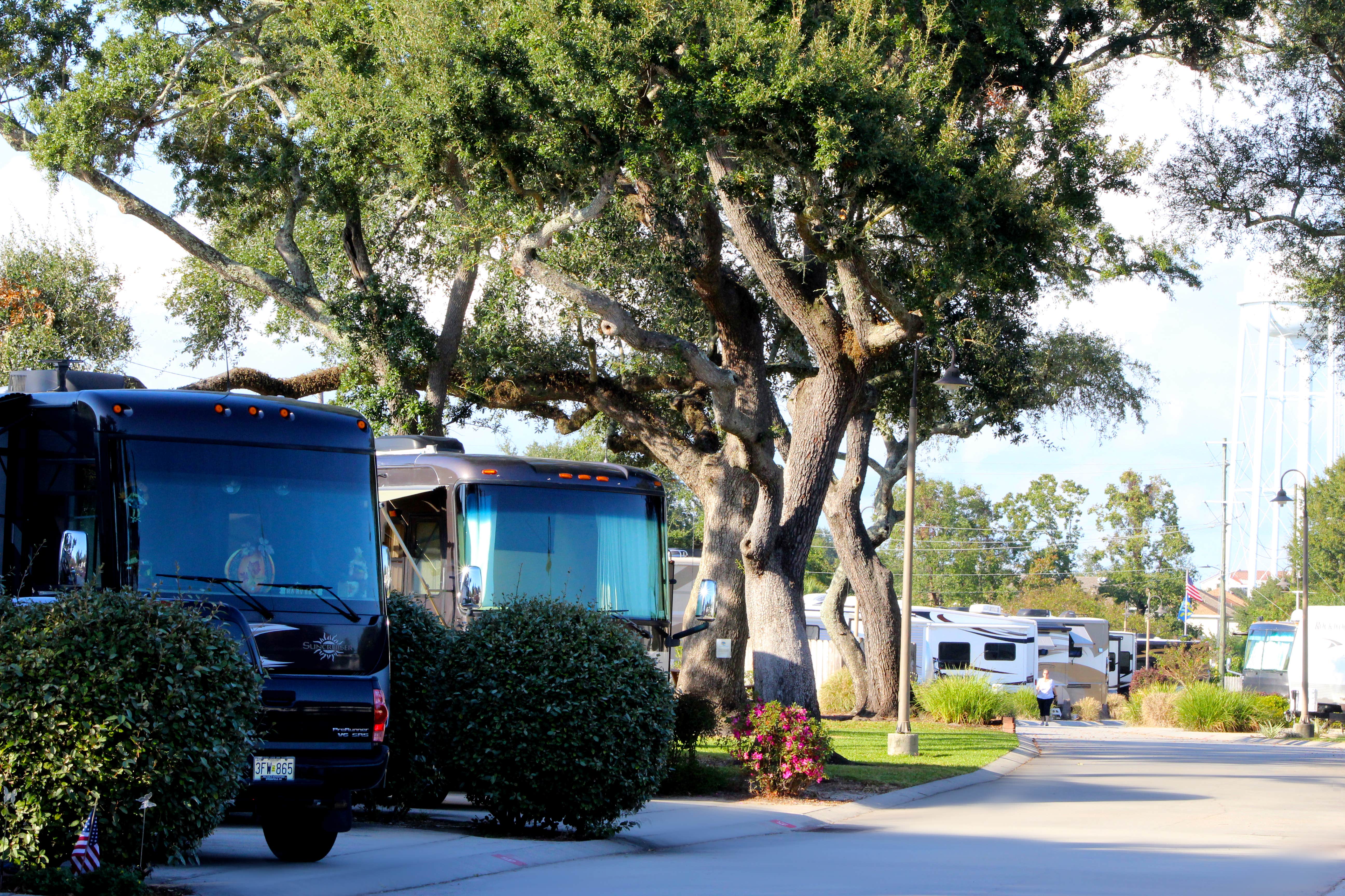Camper submitted image from Majestic Oaks RV Resort - 4