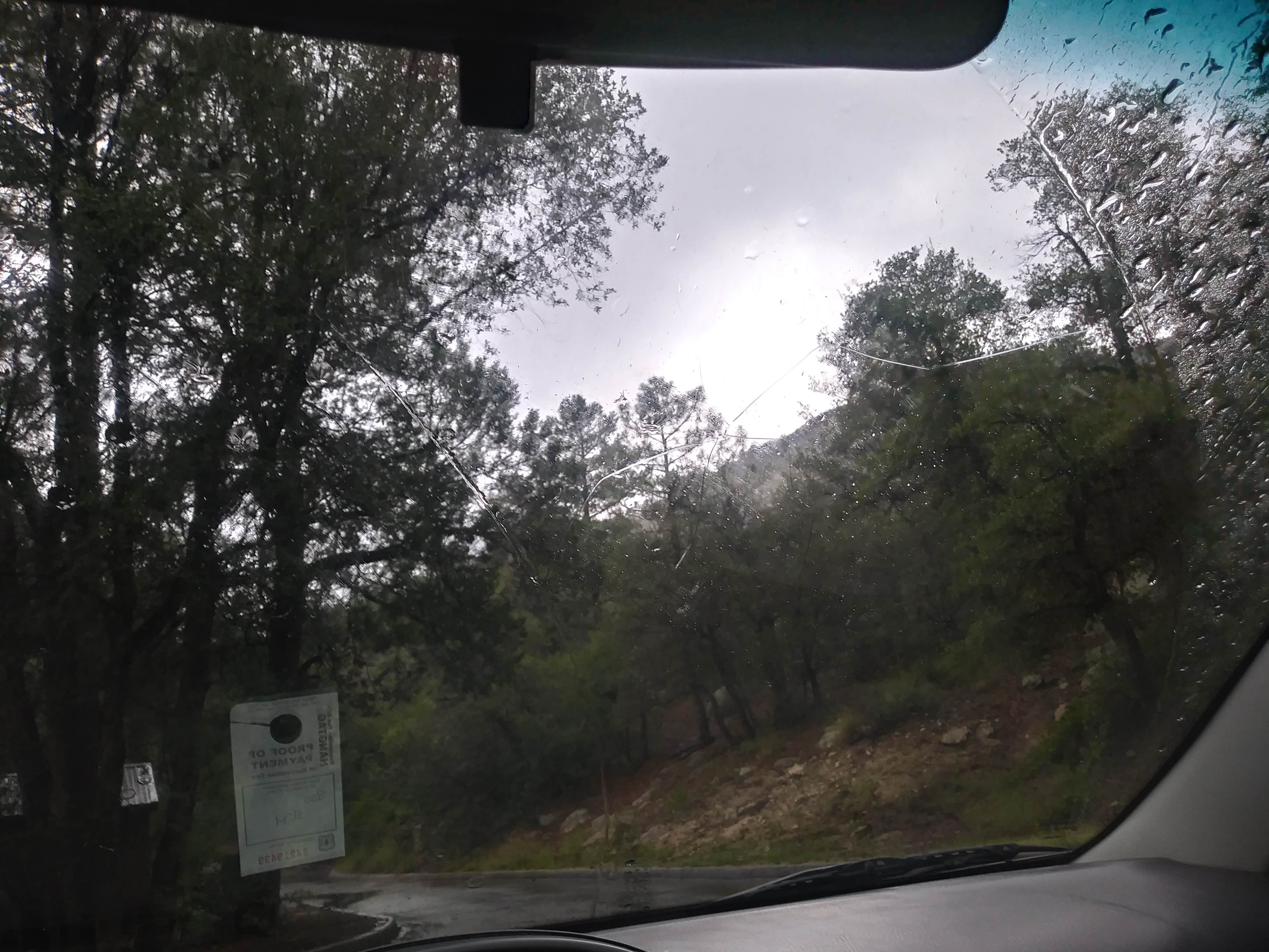 Camper-submitted photo at General Hitchcock Campground near Oro Valley, AZ