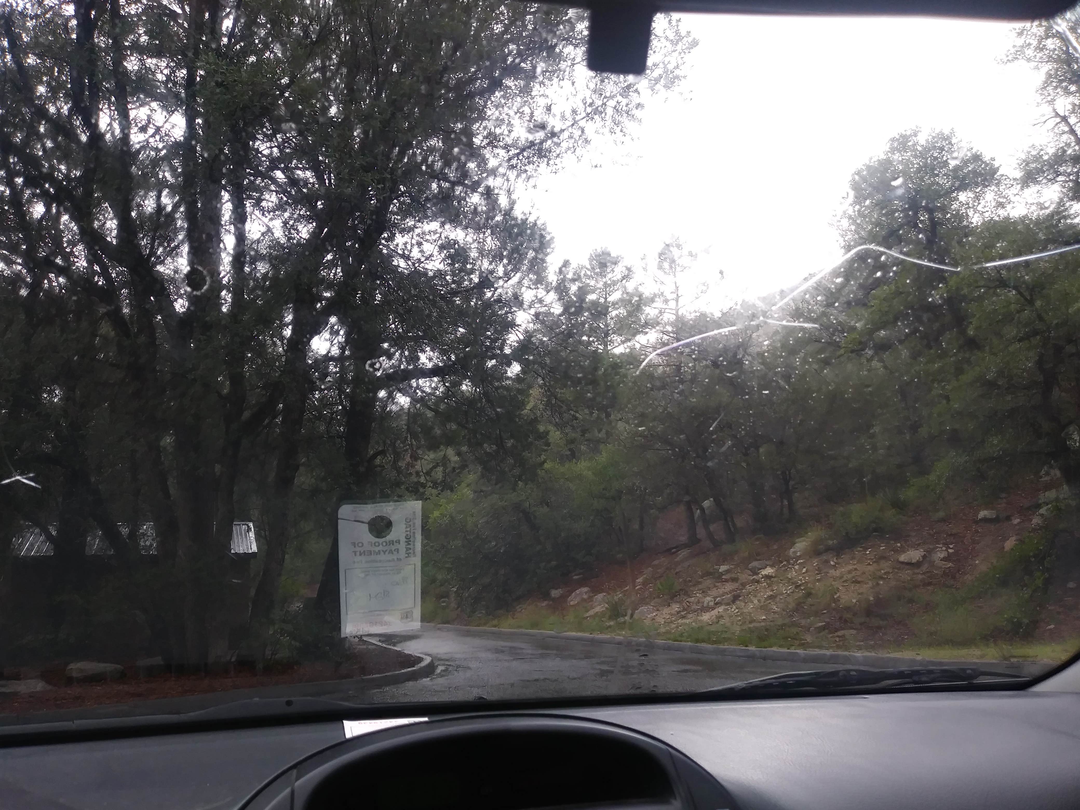 Camper-submitted photo at General Hitchcock Campground near Oro Valley, AZ