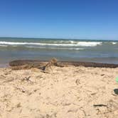 Review photo of Lake Michigan Recreation Area by Sherrie W., May 4, 2020