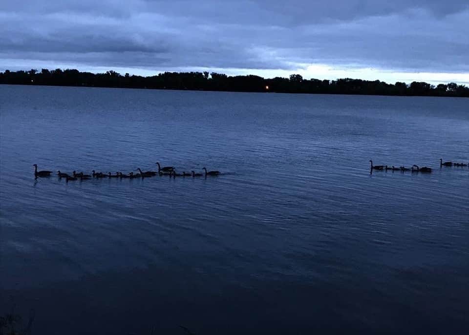 Black Hawk State Park Camping The Dyrt