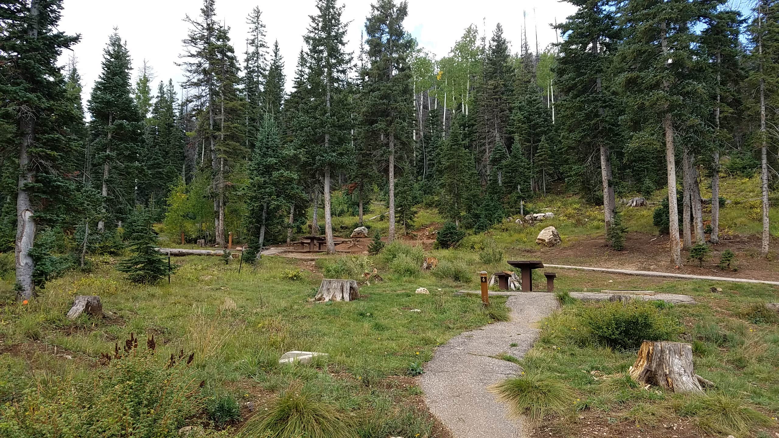 Camper submitted image from Navajo Lake Campground - 2