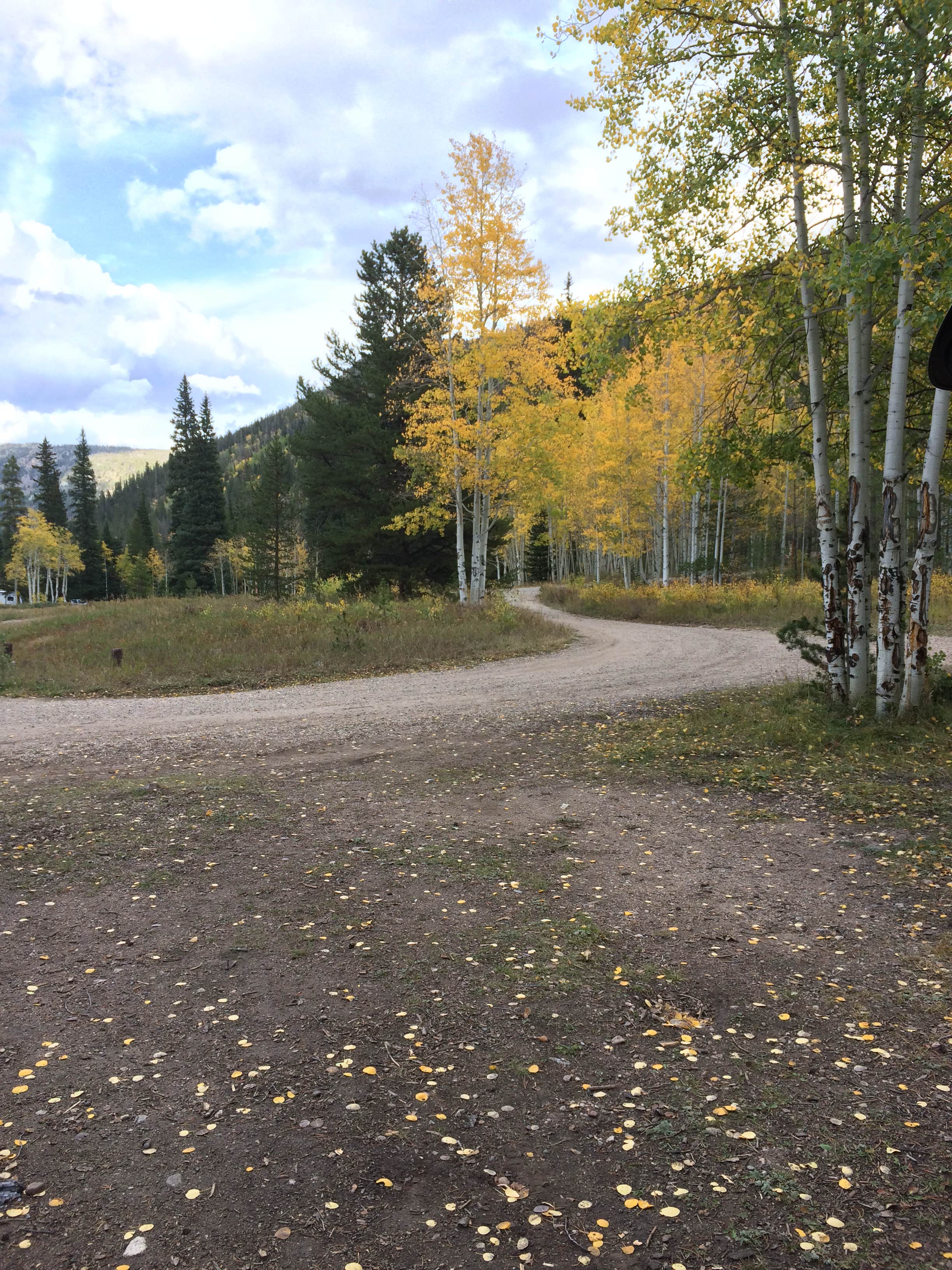 Camper submitted image from Aspen Glen - 5