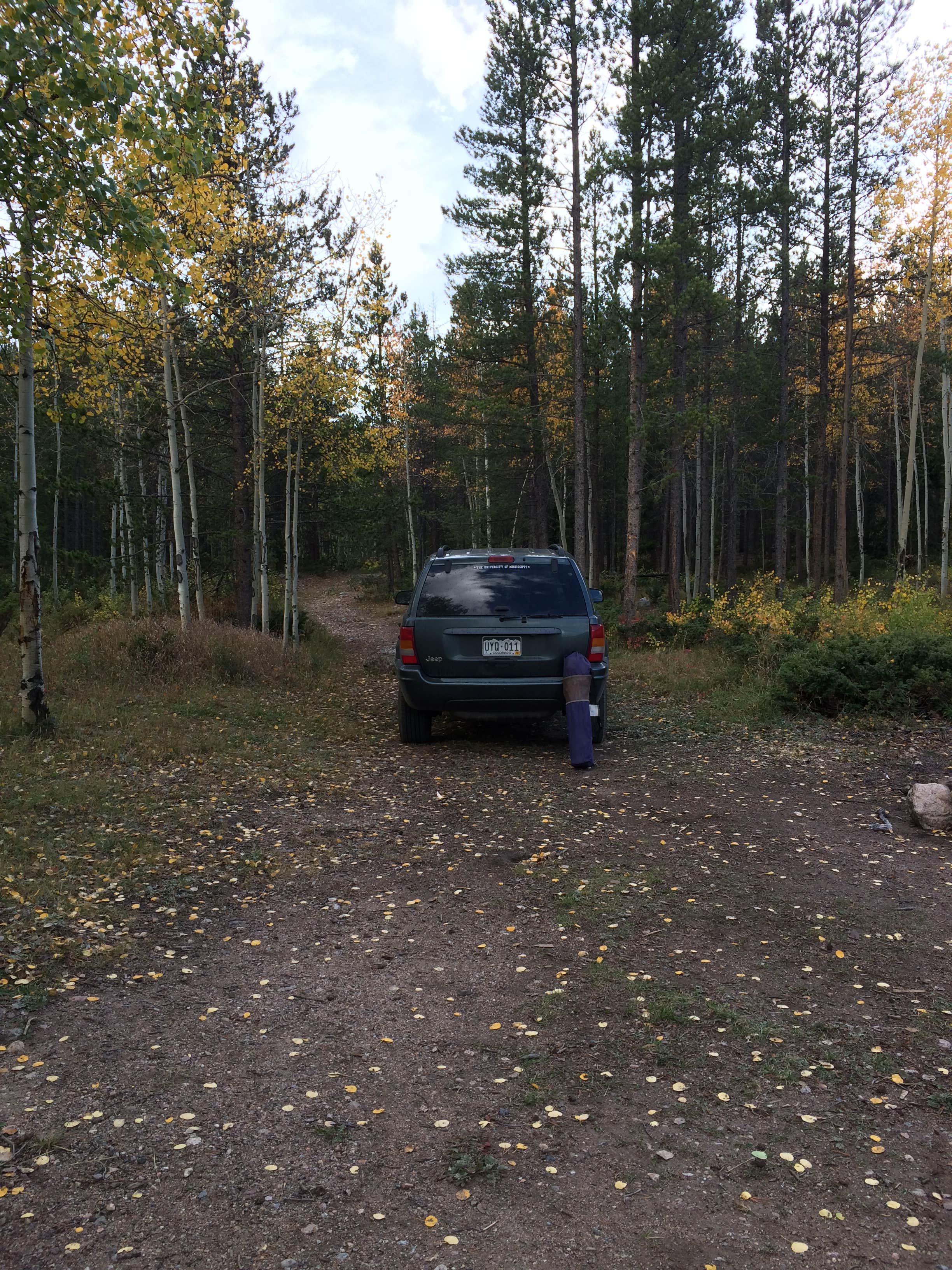 Isabelle K.'s photo of rv camping at Aspen Glen near Jelm, WY