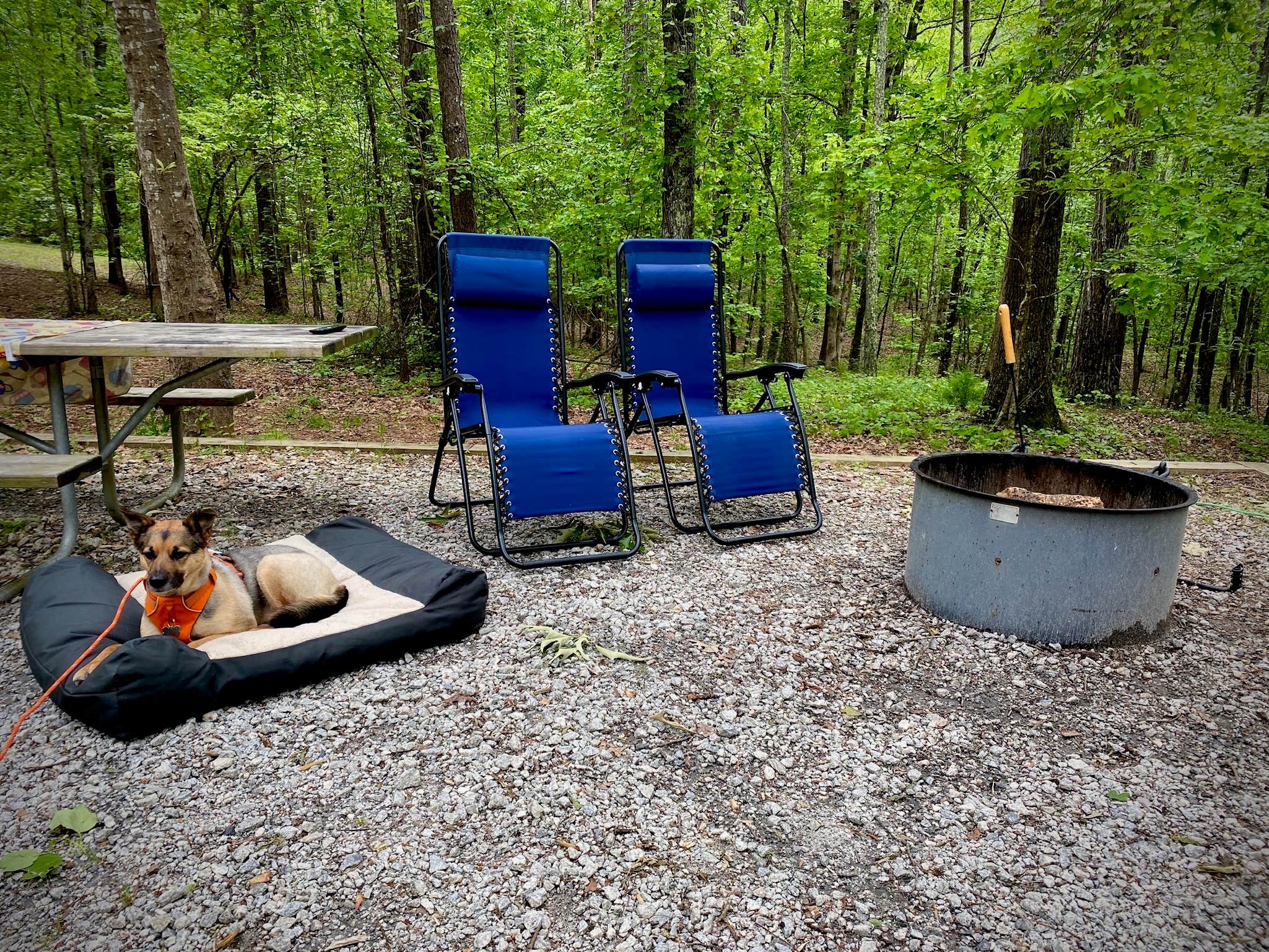 George & Patty C.'s photo of camping with pets at Hard Labor Creek State Park Campground near Pine Mountain, GA