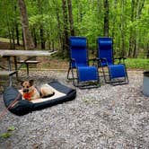 Review photo of Hard Labor Creek State Park Campground by George & Patty C., May 5, 2020