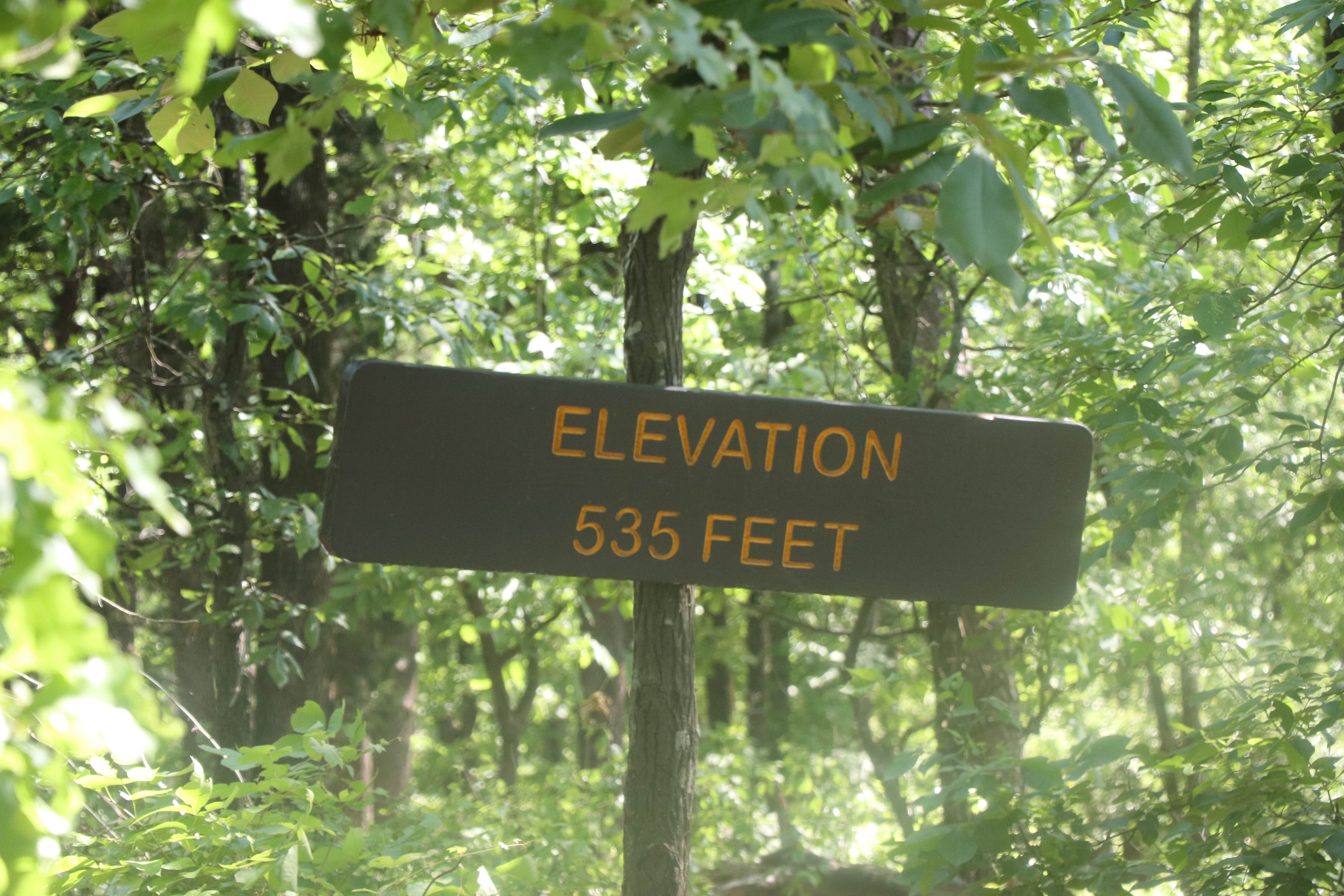 Camper submitted image from Daingerfield State Park Campground - 5
