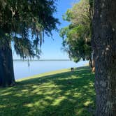Review photo of Martin Dies, Jr. State Park Campground by Josh H., May 5, 2020
