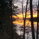 Review photo of Lake Ouachita State Park Campground by Josh H., May 5, 2020