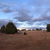 Review photo of Hole in the Rock Road at Grand Staircase-Escalante by Ashlee T., May 5, 2020