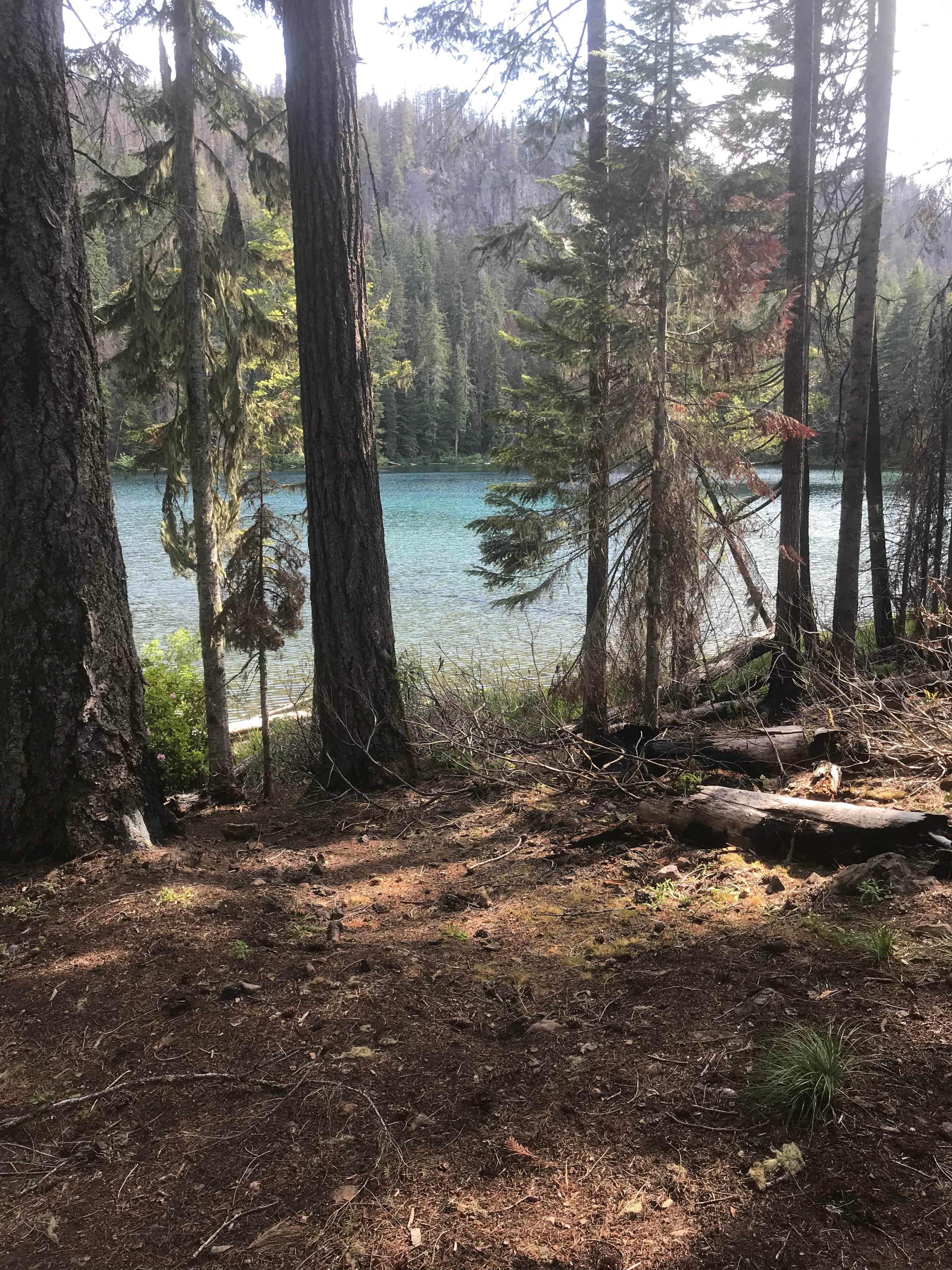 Camping near Camas Creek Campground: Twin Lakes, Clearwater, Oregon