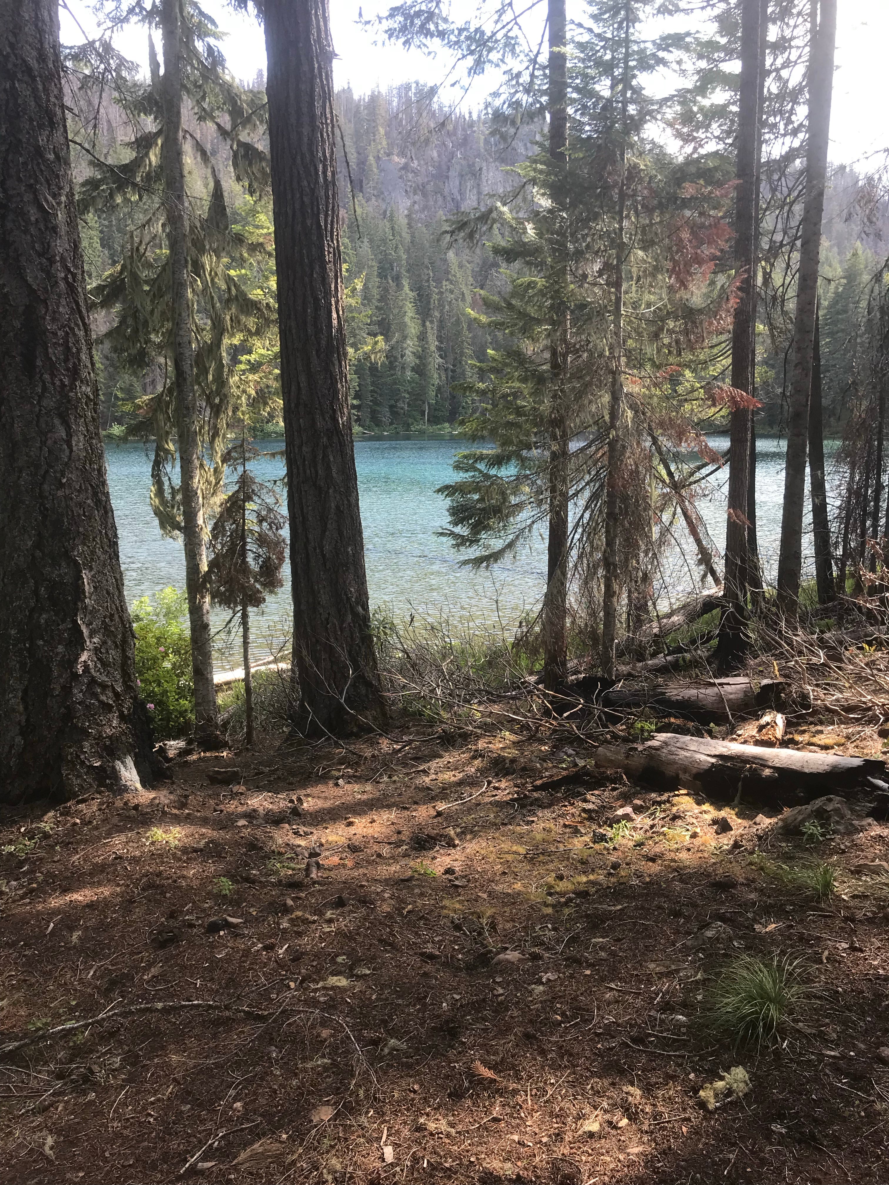 Camper submitted image from Twin Lakes - 1