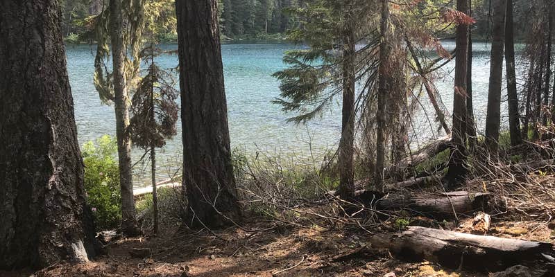 Camper submitted image from Twin Lakes