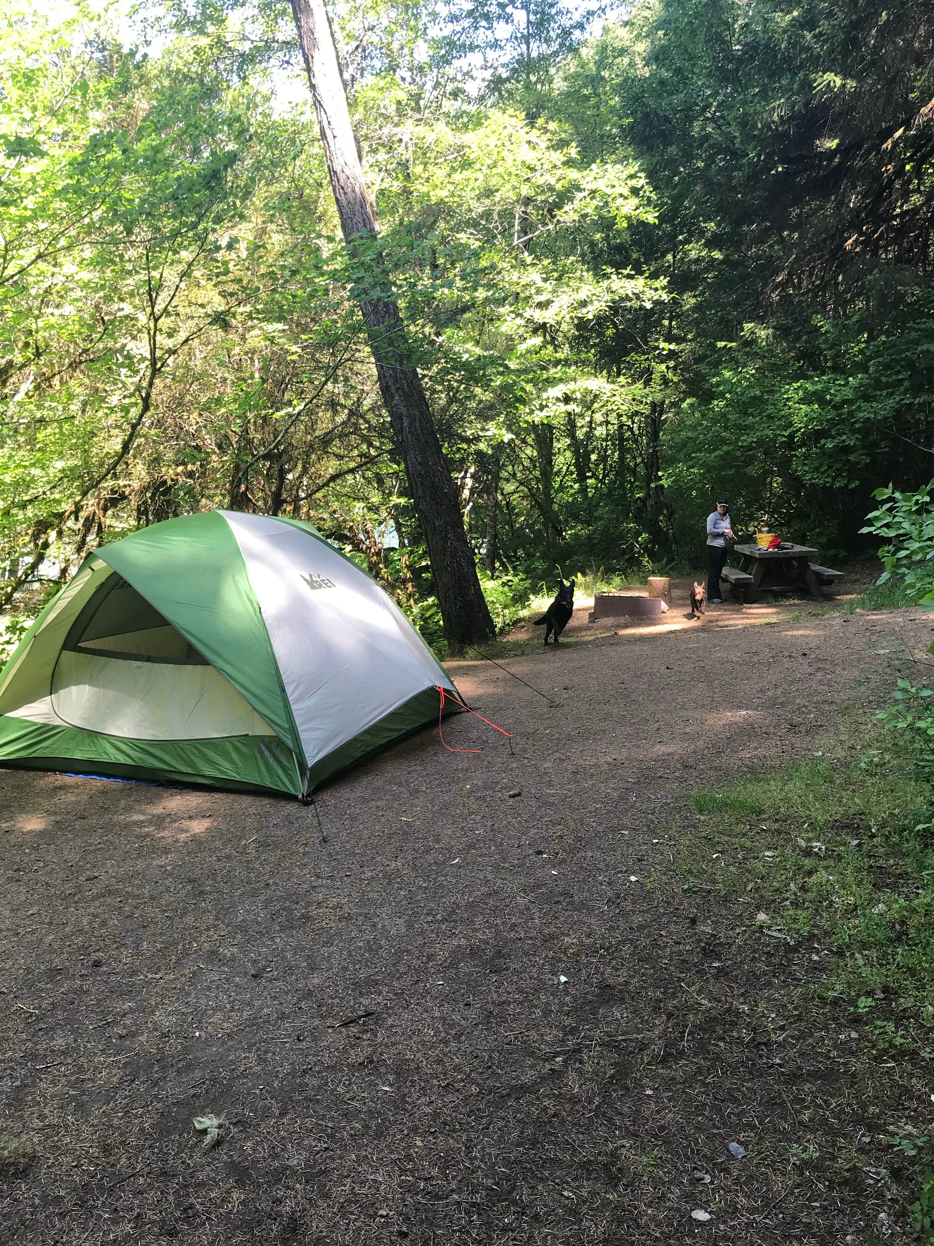 Camper submitted image from Island - 4