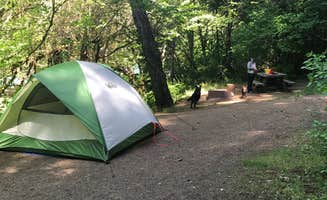 Travis D.'s photo of tent camping at Island near Cottage Grove, OR
