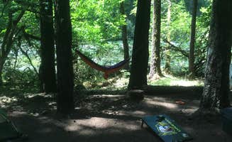 Travis D.'s photo at Island near North Umpqua River Recreation Area