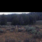 Review photo of Gros Ventre Campground — Grand Teton National Park by David B., June 30, 2016