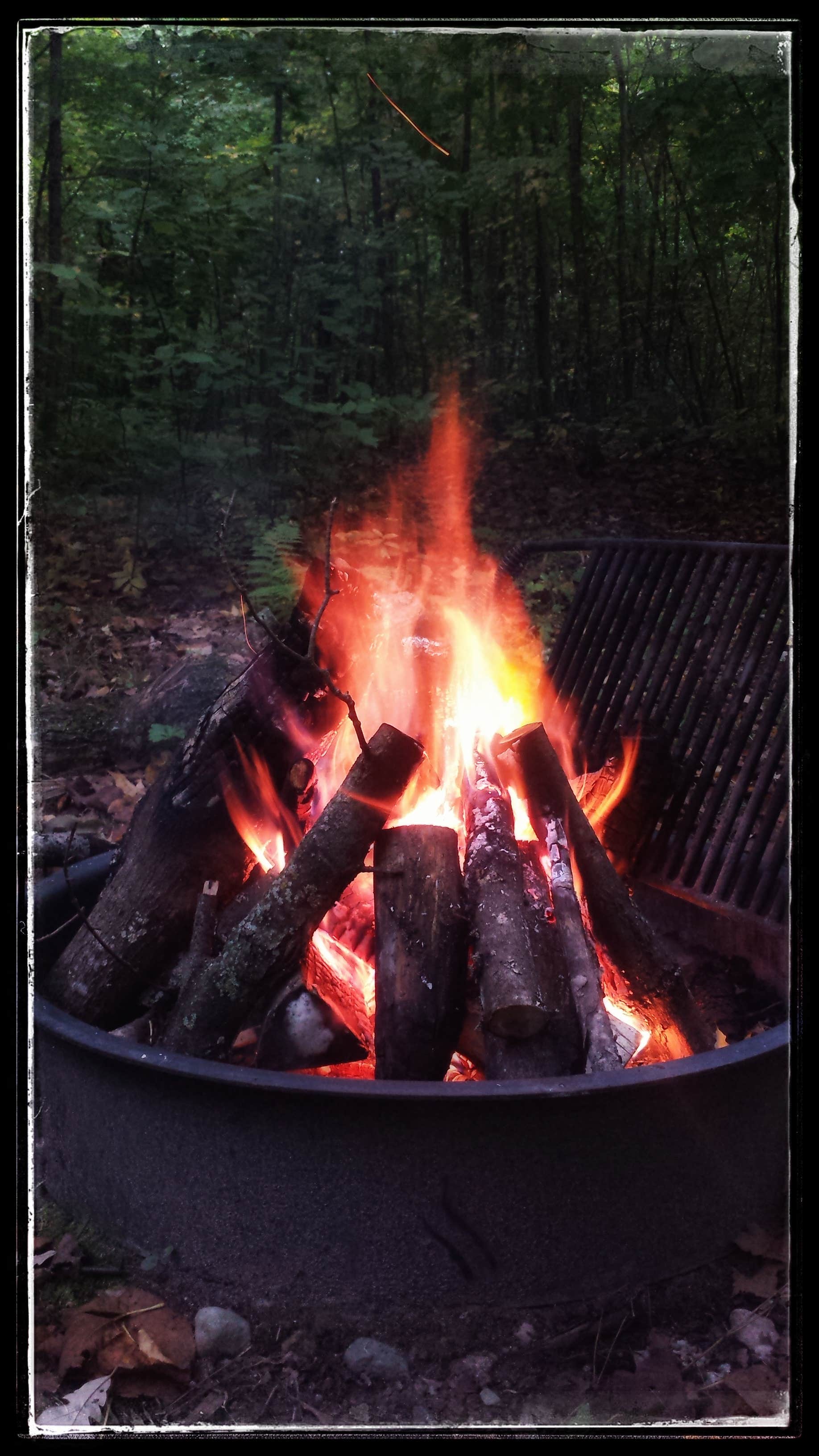 Camper submitted image from 400th Ave Camp - 4