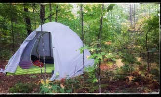 Camping near Golden Eagle Campground: 400th Ave Camp, Rochert, Minnesota