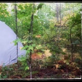 Review photo of 400th Ave Camp by Amy G., September 19, 2017