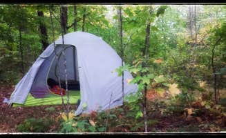 Amy G.'s photo at 400th Ave Camp near Glyndon, MN