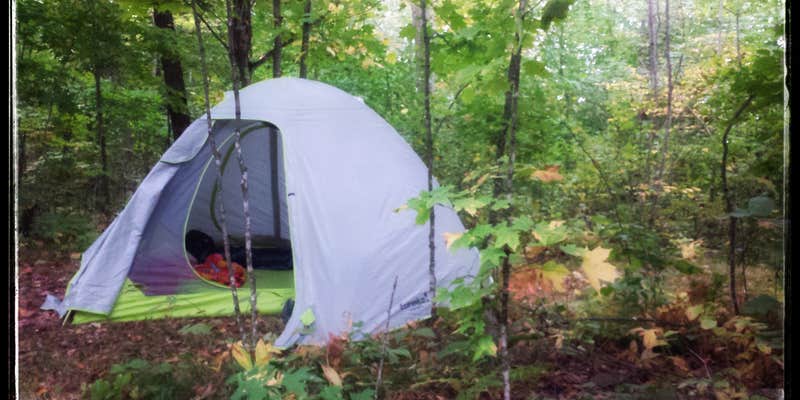 Camper submitted image from 400th Ave Camp