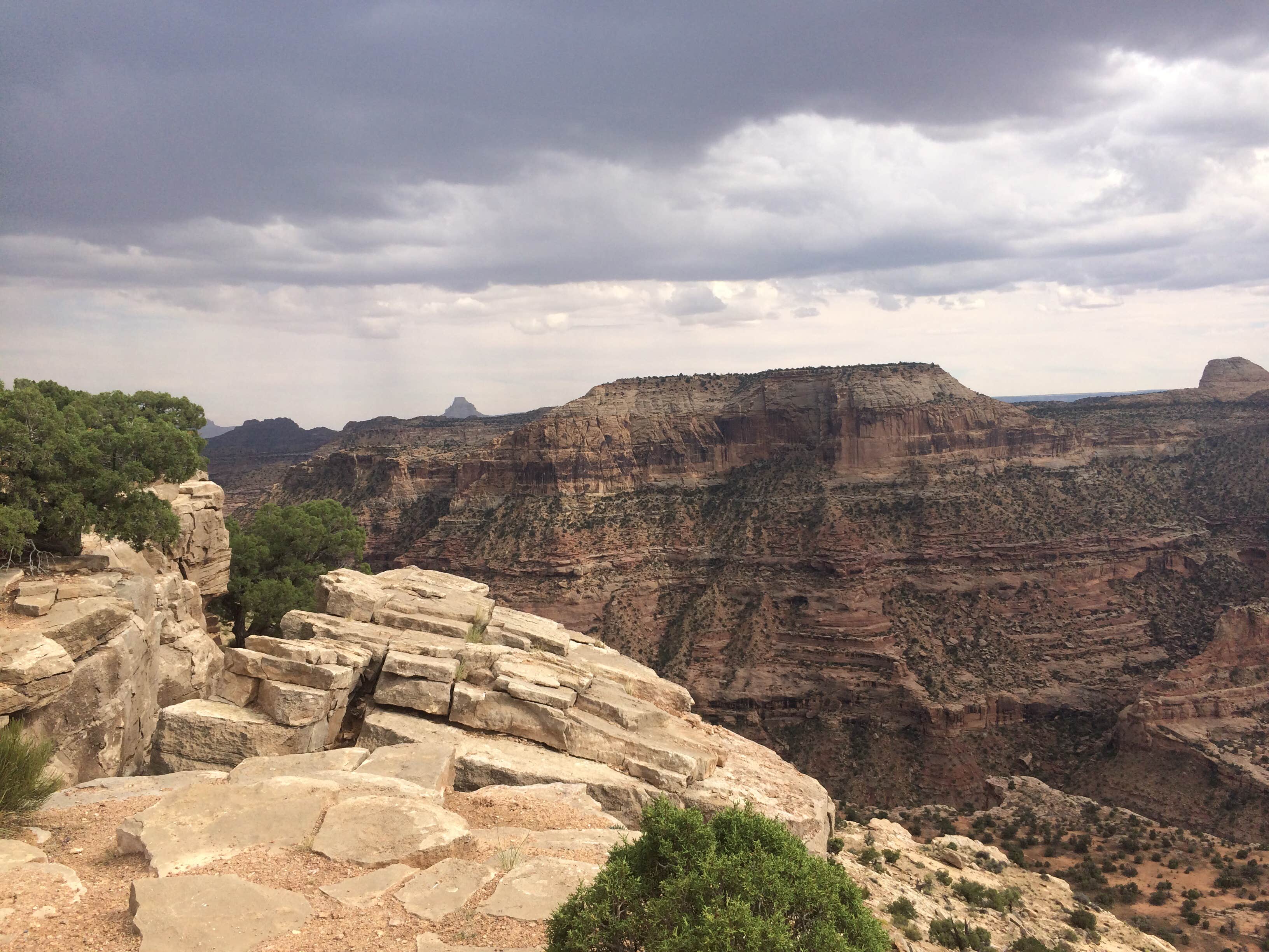 Camper submitted image from Wedge Overlook - 2