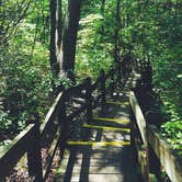 Review photo of Rock Bridge Memorial State Park - Educational Scout Camps by Ashley F., September 20, 2017