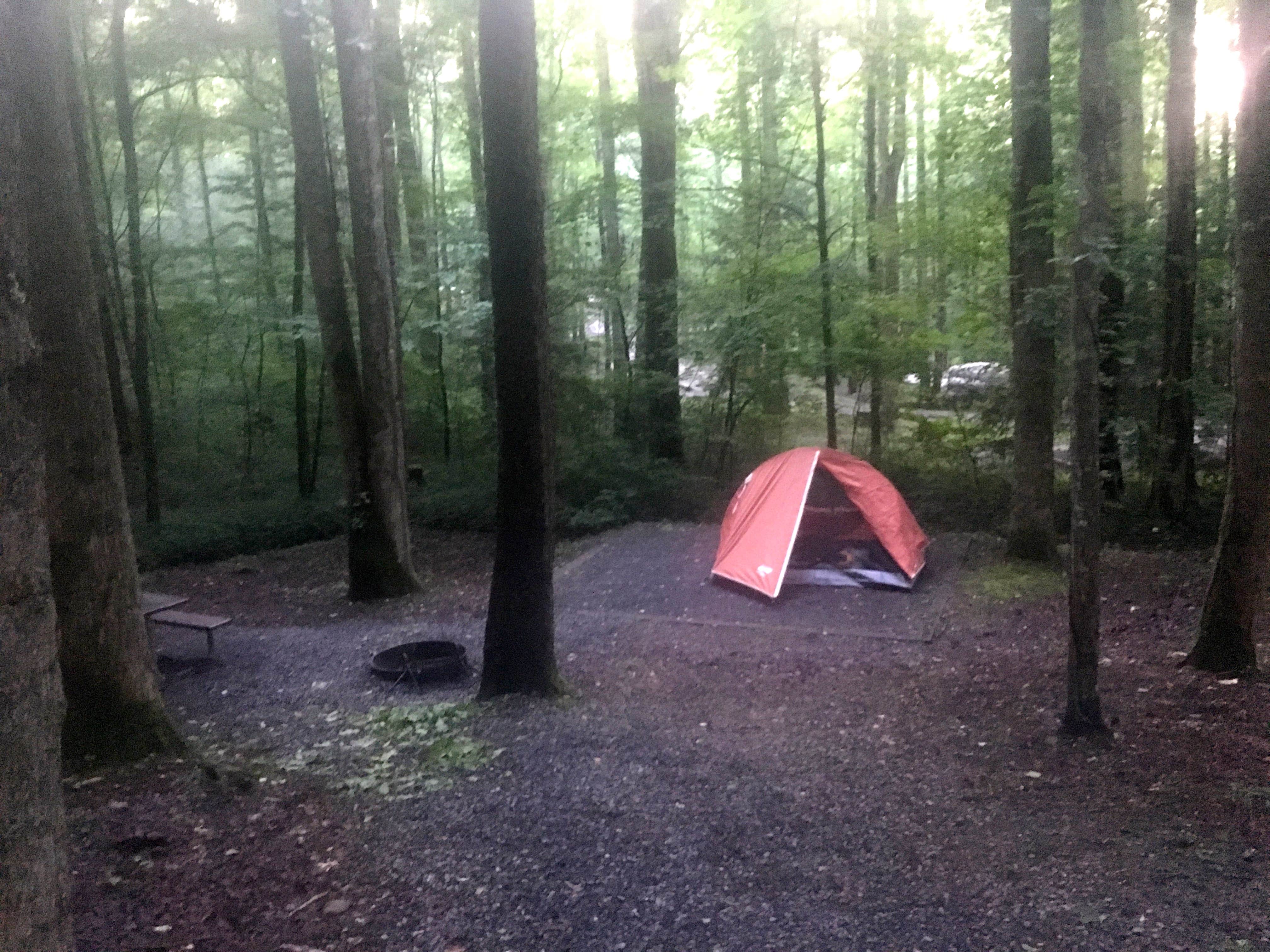Camper-submitted photo at Cosby Campground — Great Smoky Mountains National Park near Canton, NC