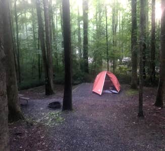 Camper-submitted photo from Table Rock State Park Campground