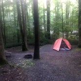 Review photo of Cosby Campground — Great Smoky Mountains National Park by Tricia L., September 20, 2017