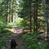 Review photo of Mouth of Two Hearted River State Forest Campground by Nancy W., September 20, 2017