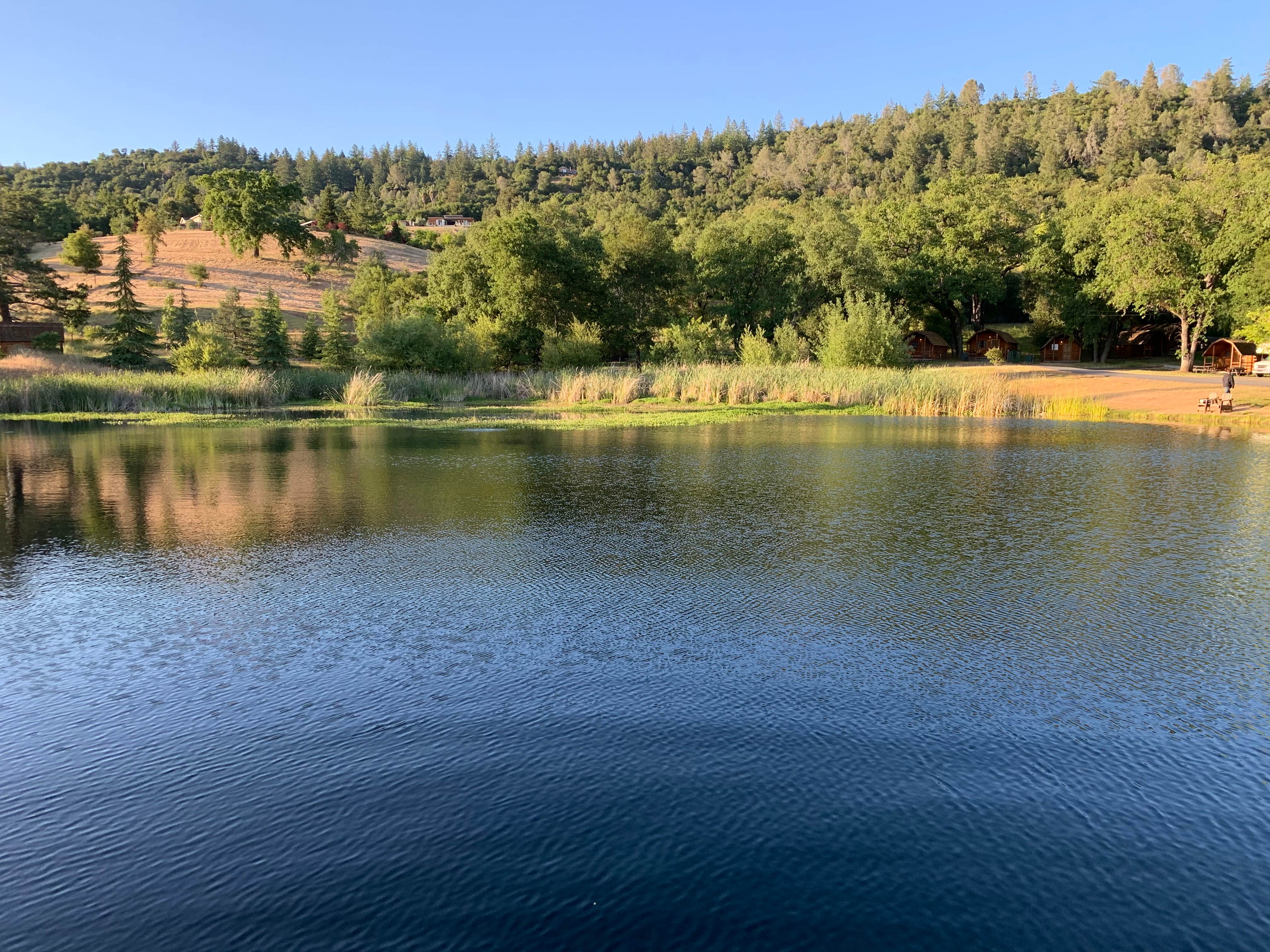 Camper submitted image from Cloverdale/Healdsburg Campground - 2