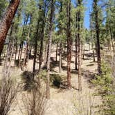 Review photo of Mora Recreation Area — Pecos Canyon State Park by Joseph W., May 6, 2020