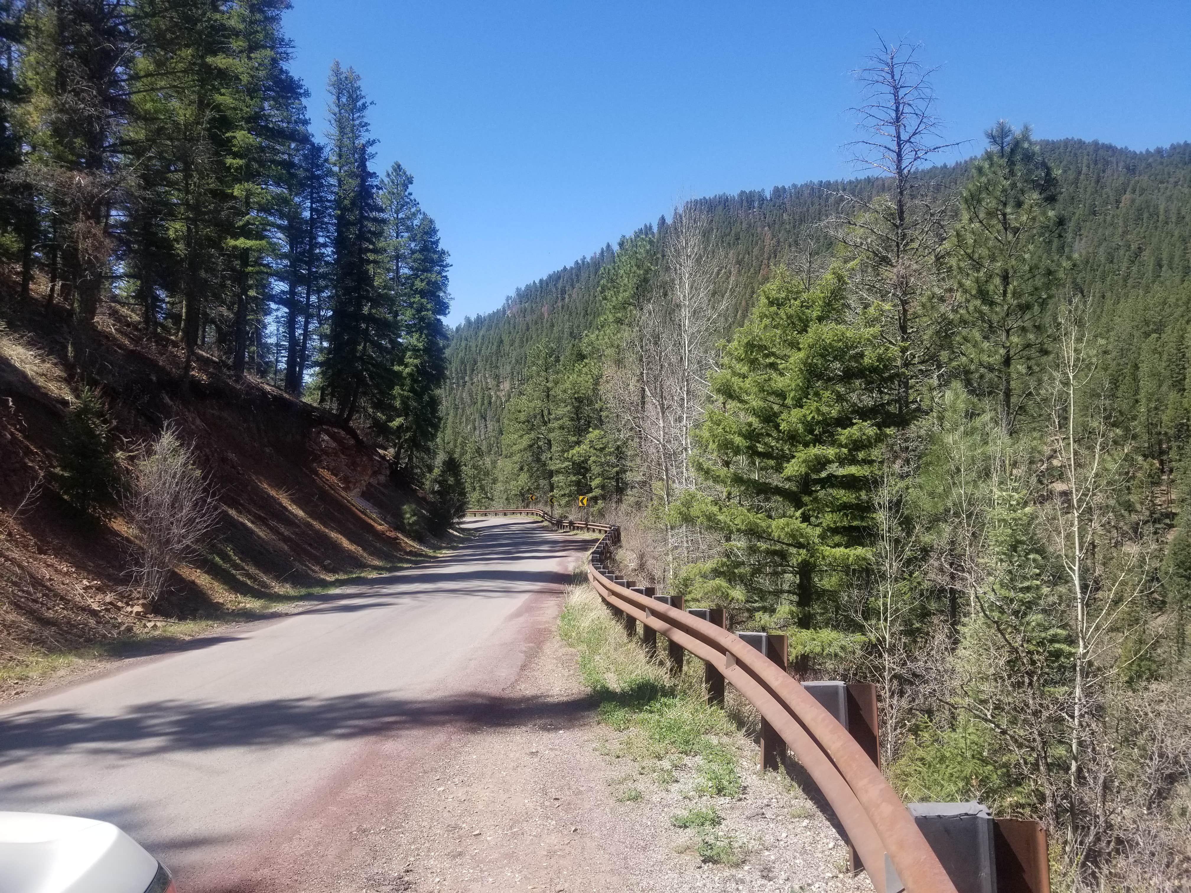 Camper-submitted photo at Mora Recreation Area Campground — Pecos Canyon State Park near Rociada, NM