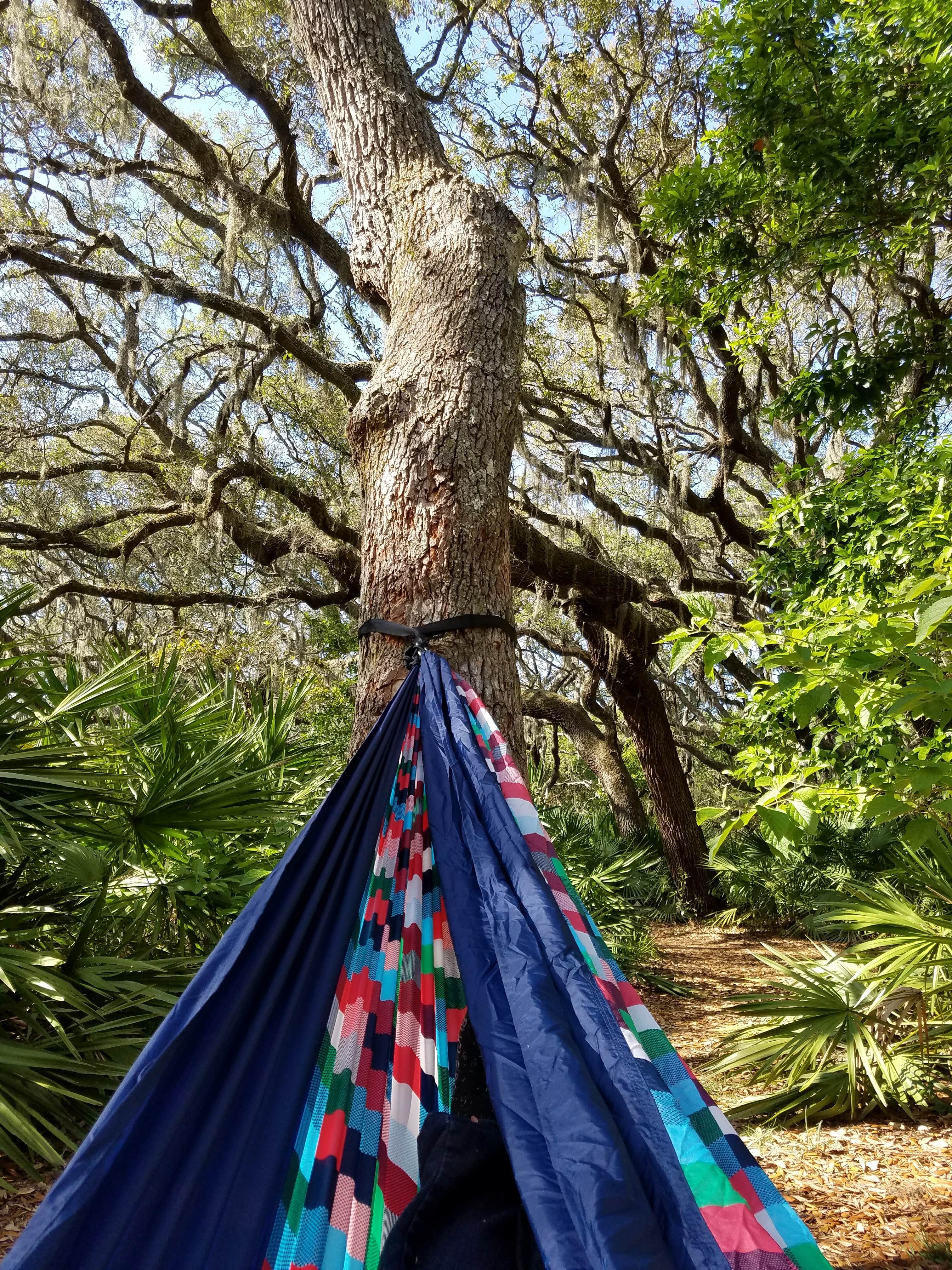 Marian K.'s photo at Sea Camp Campground — Cumberland Island National Seashore near Fernandina Beach, FL