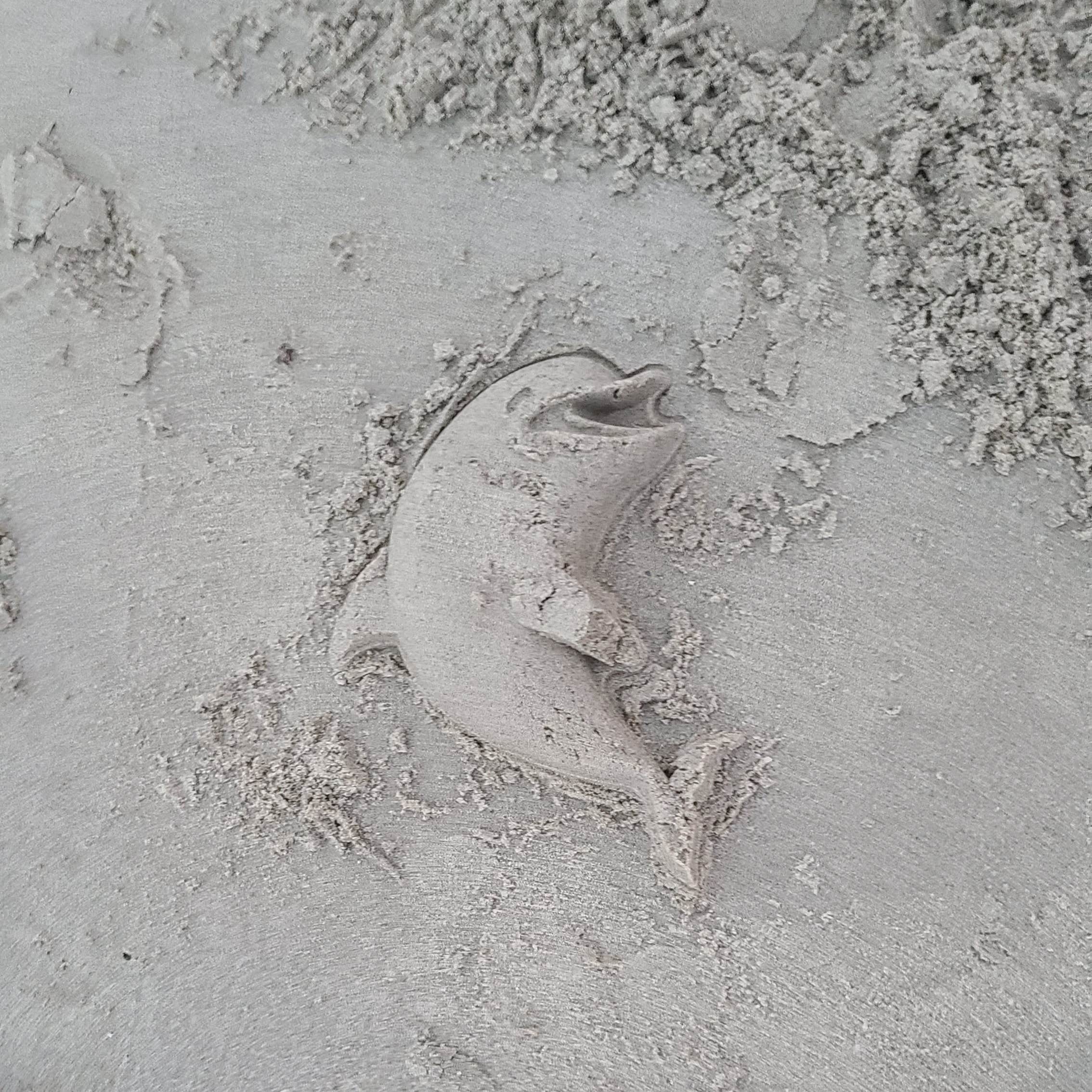 Camper-submitted photo at Pickled Pelican RV Park near Holly Beach, LA