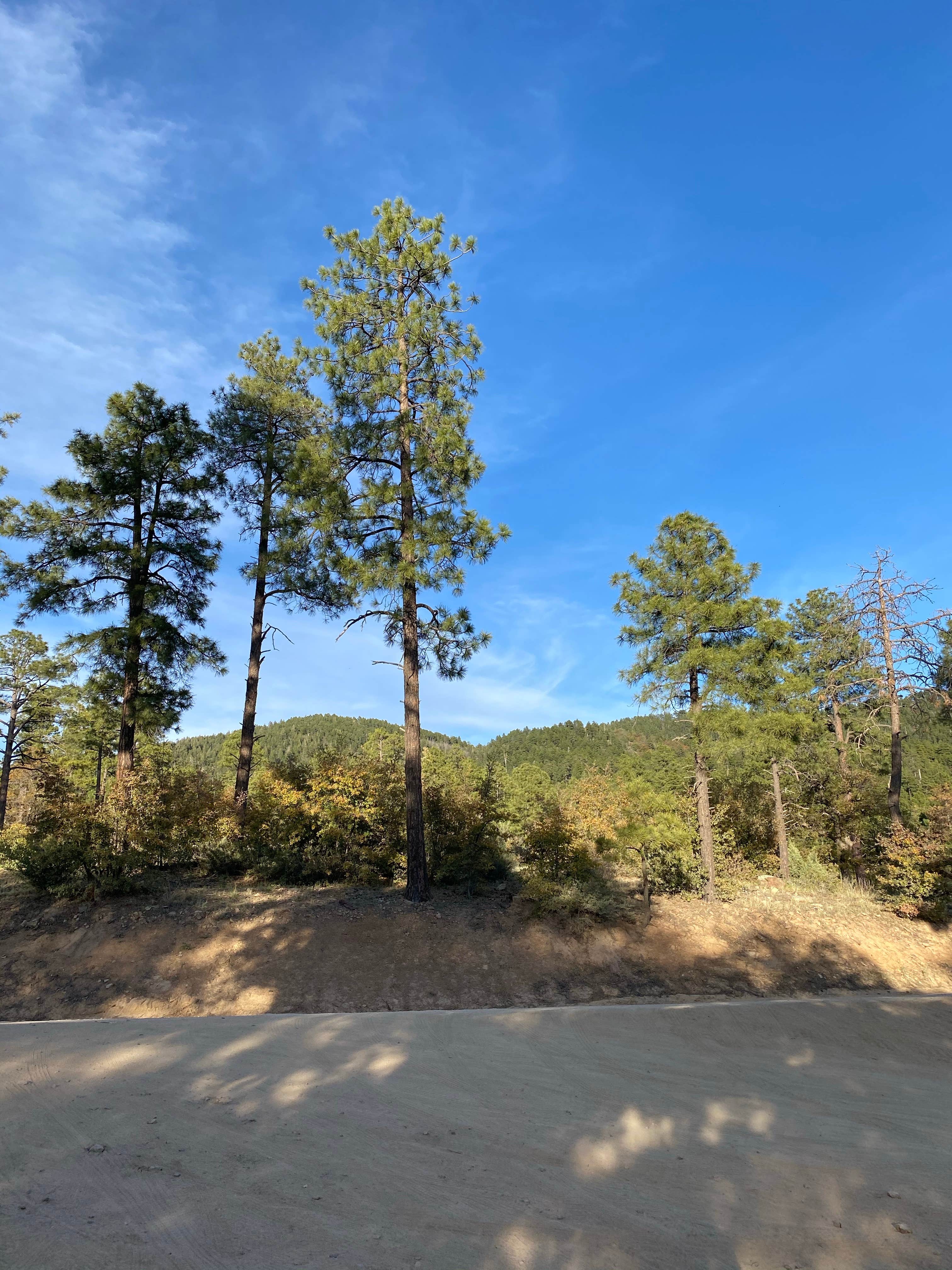 Camper-submitted photo at FDR80 Sundance Road Dispersed Camping near Mayer, AZ
