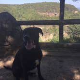 Review photo of Cloudland Canyon State Park Campground by Megan G., September 20, 2017